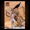 taxidermy-trophy-rooms-055
