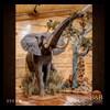 taxidermy-trophy-rooms-059