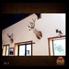 taxidermy-trophy-rooms-017