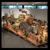 hunting-trophy-rooms-BB-Taxidermy002