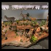 hunting-trophy-rooms-BB-Taxidermy006