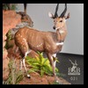 hunting-trophy-rooms-BB-Taxidermy026