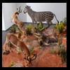 hunting-trophy-rooms-BB-Taxidermy030