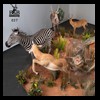 hunting-trophy-rooms-BB-Taxidermy032